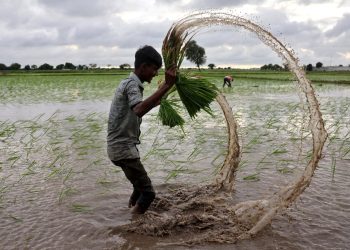El Niño și războaiele sporesc riscurile pentru hrană și gaze