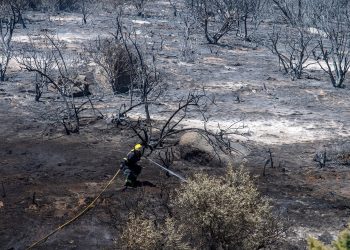 Incendiile extreme cresc, deși arderile globale scad