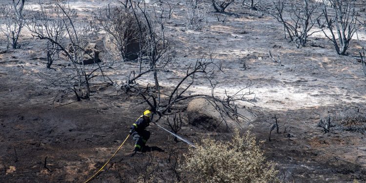 Incendiile extreme cresc, deși arderile globale scad