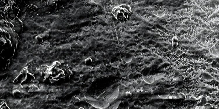 Bacterie modificată accelerează captarea CO₂ și extragerea metalelor