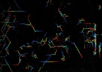 Microscop computațional filmează 25,2 miliarde de pixeli pe secundă